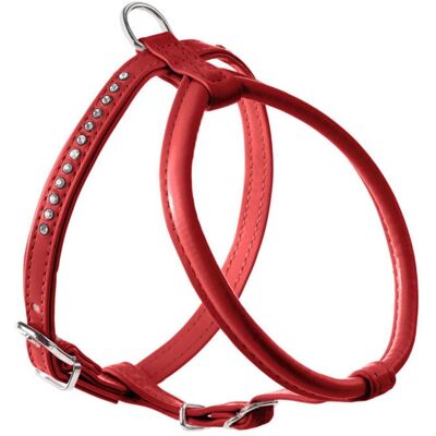 Hunter - Modern Art R&S Petit Luxus Rosso per Cani 50 cm - pettorina Hunter - Modern Art R&S Petit Luxus Rosso per Cani 50 cm - pettorina