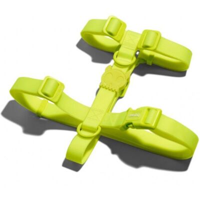 Zee.Dog Pettorina H per Cani Linea Neopro Lime M Zee.Dog Pettorina H per Cani Linea Neopro Lime M