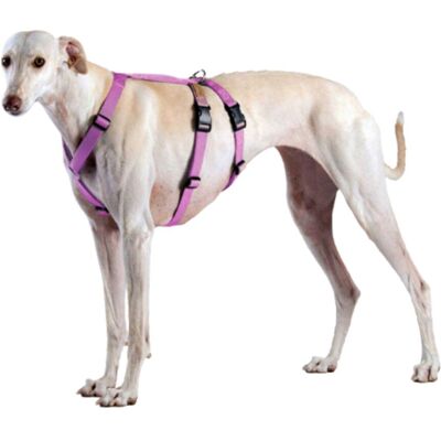 Haqihana Pettorina Doppia H Antifuga per Cani Pink M2H (torace 60-90cm) Haqihana Pettorina Doppia H Antifuga per Cani Pink M2H (torace 60-90cm)