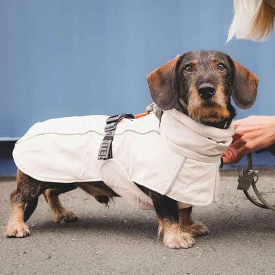 NORDBY - Dachshund 33 - Crema - dog coat NORDBY - Dachshund 33 - Crema - dog coat
