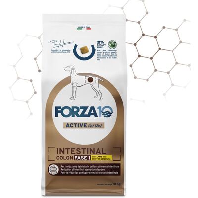 Forza10 10 Kg Forza 10 Intestinal Colon Fase 1 Agnello e Sorgo Bianco per Cani Adulti Forza10 10 Kg Forza 10 Intestinal Colon Fase 1 Agnello e Sorgo Bianco per Cani Adulti