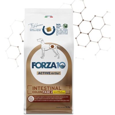 Forza10 10 Kg Forza 10 Intestinal Colon Fase 2 Agnello e Sorgo Bianco per Cani Adulti Forza10 10 Kg Forza 10 Intestinal Colon Fase 2 Agnello e Sorgo Bianco per Cani Adulti
