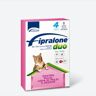 Formevet Fipralone® DUO Spot-On per Gatti 4 Pipette