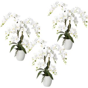 kaiserkraft Orchidea phalaenopsis, real touch -