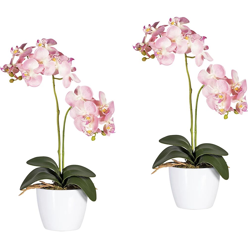 Orchidea phalaenopsis in vaso di ceramica bianco, altezza 500 mm, conf. da 2 pz., fiori rosa