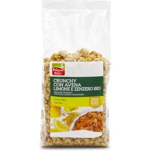 Biotobio Srl Crunchy C/avena Limone Zenzero