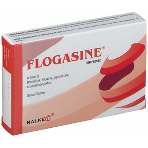 Nalkein Italia Srl Flogasine Cpr