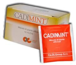 Ca.Di.Group Spa Cadimint-15 Filtri