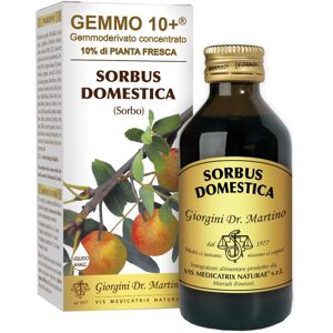 Giorgini Ser-Vis Srl Sorbo 100ml Analco Gemmo 10+