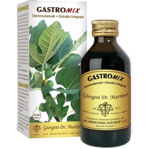 Dr.Giorgini Ser-Vis Srl Gastromix Liquido Analc 100ml