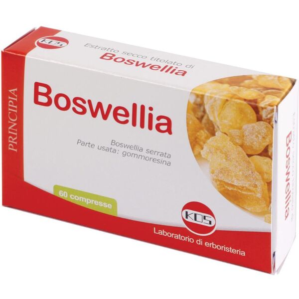 kos srl boswellia es.sec 60cpr 24g kos