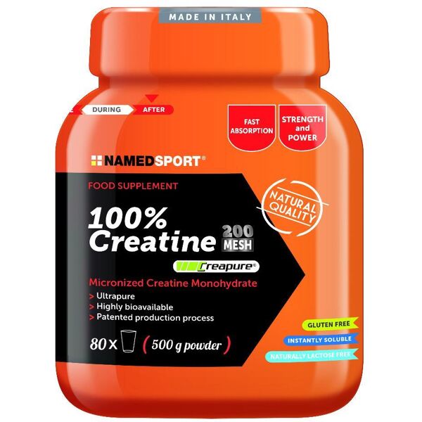 namedsport srl 100% creatina 500g (named)