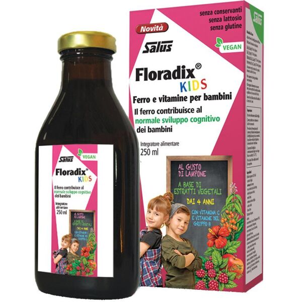 salus haus gmbh & co kg floradix kids 250ml