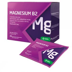 Krka Farmaceutici Milano Srl Magnesium B2 300/2mg 20bust