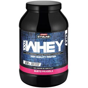 Enervit Gymline 100% Whey Conc Fra900g