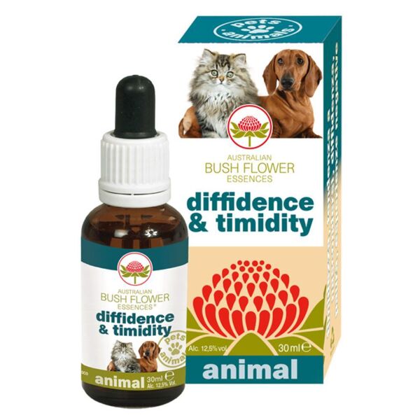 bush biotherapies pty ltd diffidence & timidity 30ml