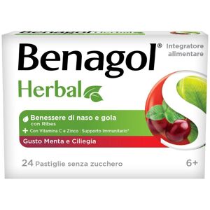 Reckitt Benckiser H.(it.) Spa Benagol Herbal Menta Cil 24past