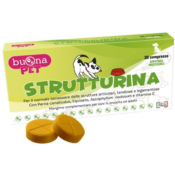 buona spa societa' benefit strutturina 30cpr