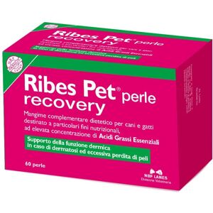 N.b.f. Lanes Srl Ribes Pet Recovery 60prl