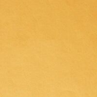 ratioform Carta velina per regali, in fogli da 75 x 50 cm, 30 g/m², arancione