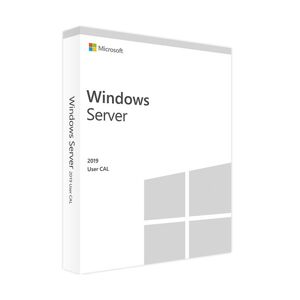 Microsoft Windows Server 2019 10 User Cals