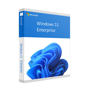 Microsoft Windows 11 Enterprise