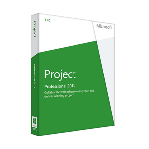 Microsoft Project Professional 2013 (windows)