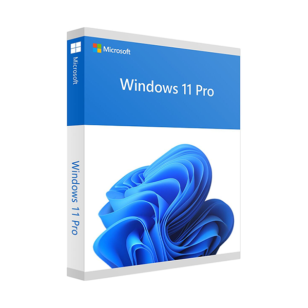 microsoft windows 11 professional