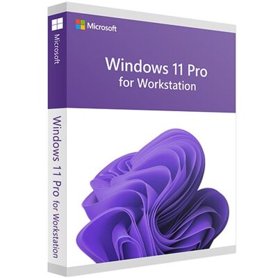 Microsoft Windows 11 Pro per Workstation Microsoft Windows 11 Pro per Workstation