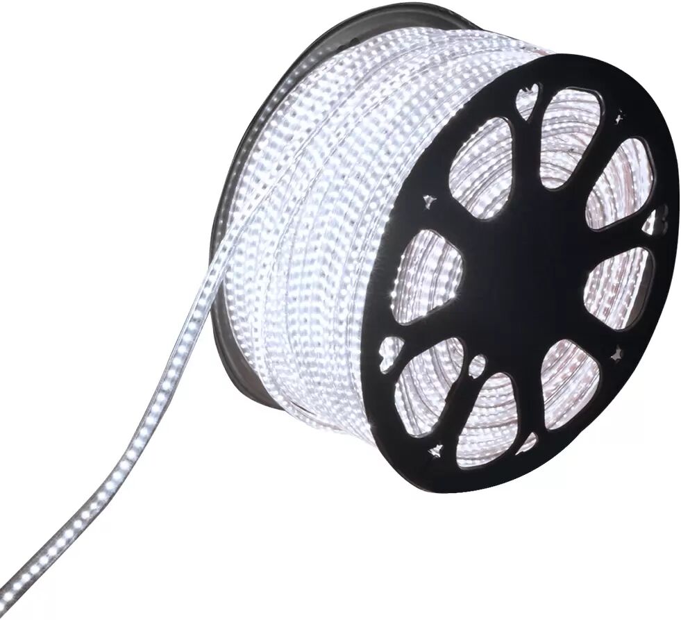 Striscia Led 220V 350W SMD 5050 Bobina 50 metri IP65 Bianco Freddo 6500K Aigostar