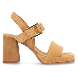 Alpe per donna. 512411 Sandali Chiara 11 in pelle marrone (40), 5 a 8cm, Fibbia, Casual Alpe per donna. 512411 Sandali Chiara 11 in pelle marrone (40), 5 a 8cm, Fibbia, Casual