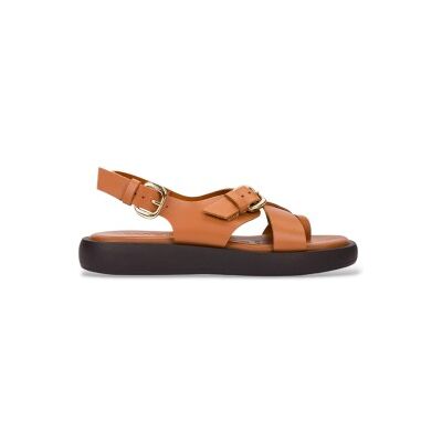 Wonders per donna. AB-1332 Sandali marroni Walk (37), Pelle, Basso, Fibbia, Casual Wonders per donna. AB-1332 Sandali marroni Walk (37), Pelle, Basso, Fibbia, Casual