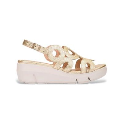 Wonders per donna. D-8282_5432_7285 Sandali in pelle Gold Wave (37), Oro, 3 a 5cm, Fibbia, Casual Wonders per donna. D-8282_5432_7285 Sandali in pelle Gold Wave (37), Oro, 3 a 5cm, Fibbia, Casual