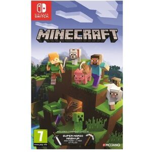 Nintendo Switch Minecraft