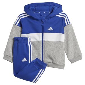 Adidas Tiberio 3 Stripes Colorblock Fleece Set Blu,Grigio 0-3 Months