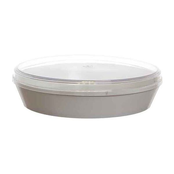 poloplast contenitore torta gelato con coperchio trasparente basso 6 porzioni