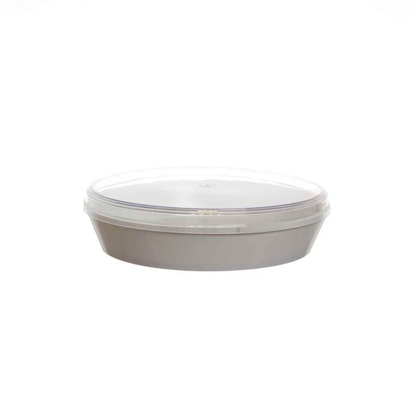 poloplast contenitore torta gelato con coperchio trasparente basso 8 porzioni