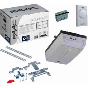 Faac Dolphin Kit Safe Automazione Basculanti E Sezionali Porta Garage 24v