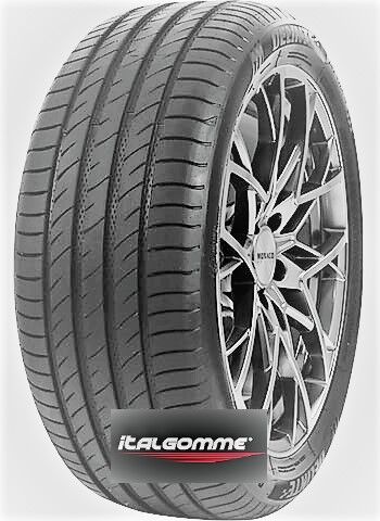 205/40 R17 84W  DELINTE DS2 XL