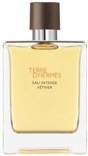 Hermes Hermès Terre d'Hermès Eau Intense Vetiver 100ML