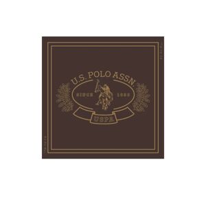 Us Polo Assn. Foulard Uomo Colore Marrone MARRONE 1