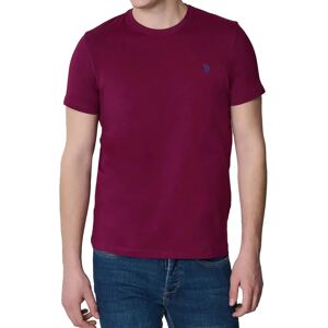 Us Polo Assn. T-shirt Uomo Colore Viola VIOLA S