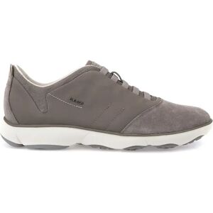 Geox Sneakers Uomo Colore Tortora TORTORA 40