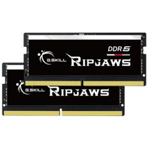 G.Skill Ripjaws F5-4800S4039A16GX2-RS memoria 32 GB 2 x 16 GB DDR5 4800 MHz (F5-4800S4039A16GX2-RS)