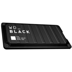 SanDisk Western Digital Ultrastar P40 1000 GB Nero (WDBAWY0010BBK-WESN)