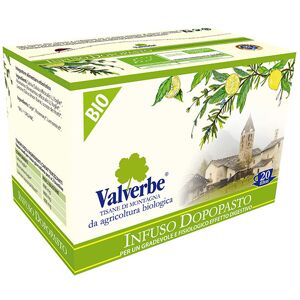 VALVERBE Infuso Dopopasto 20 Filtri Da 1 Grammo