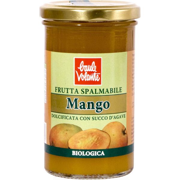 baule volante frutta spalmabile - mango 280 grammi