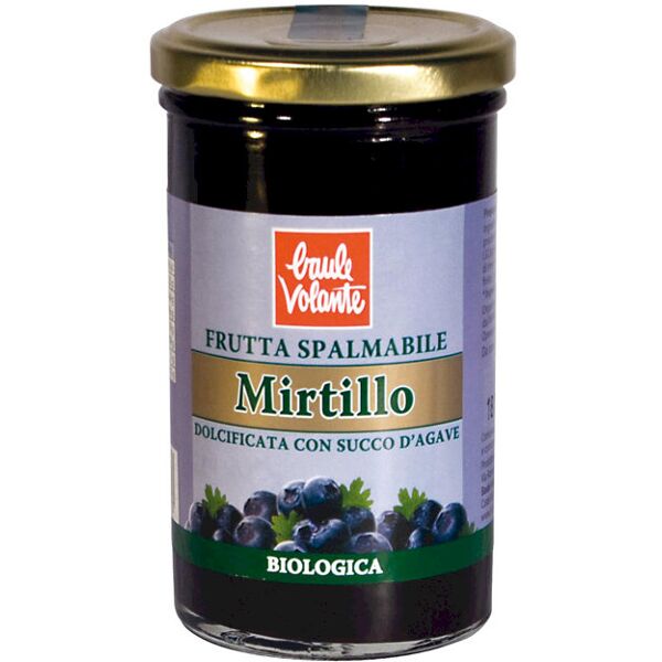 baule volante frutta spalmabile - mirtillo 280 grammi