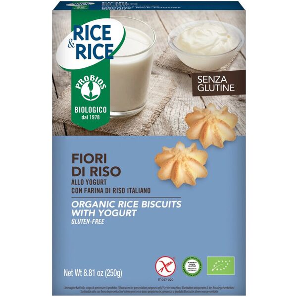 probios rice & rice - fior di riso allo yogurt 250 grammi