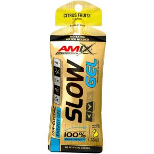 AMIX Slow Gel 1 Gel Da 45 Grammi Agrumi